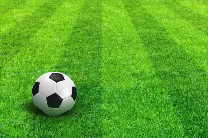 湖北申办世界杯_武汉办世界杯_中国各省份足球改革计划